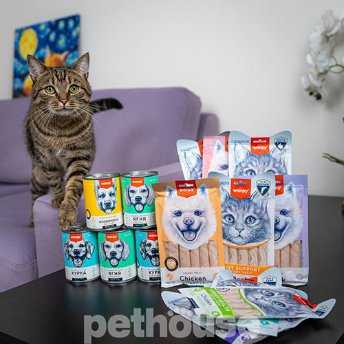 Wanpy Functional Creamy Treat Urinary Care Кремовое лакомство для кошек