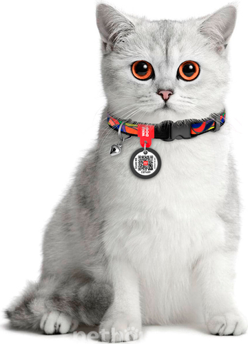 WauCat Nylon Нашийник "Вітраж" з QR-паспортом для котів