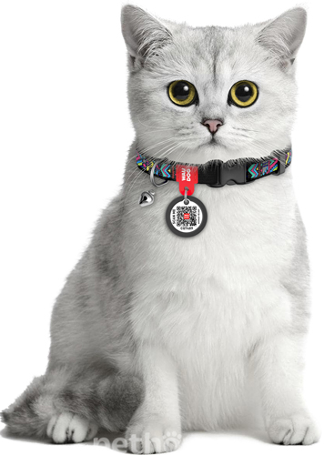 WauCat Nylon Нашийник "Інді" з QR-паспортом для котів