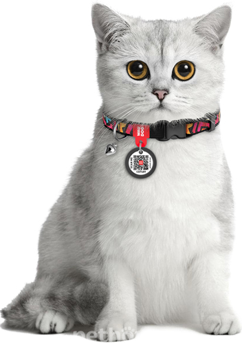 WauCat Nylon Нашийник "Граффіті" с QR-паспортом для котів