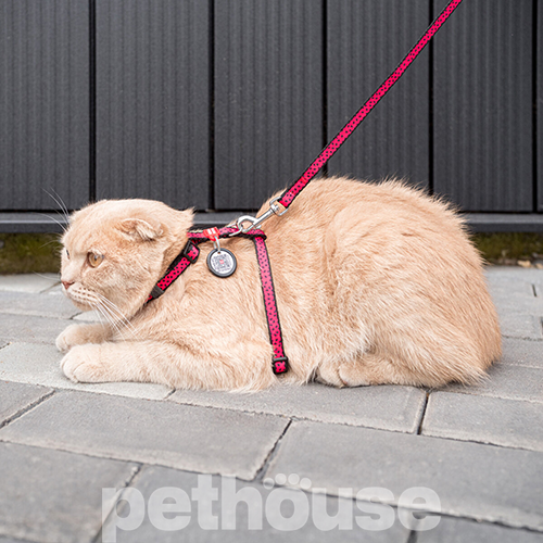 WauCat Nylon Шлея "Кавун" з повідцем і QR-паспортом для котів і собак