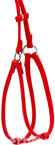 WauDog Шлея кругла з повідцем для собак малих порід, червона WauDog Шлея кругла з повідцем для собак малих порід, червона