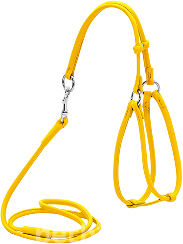 WauDog Шлея кругла з повідцем для собак малих порід, жовта