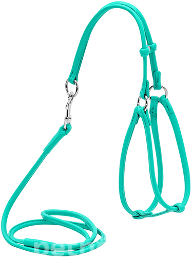 WauDog Шлея кругла з повідцем для собак малих порід, ментолова