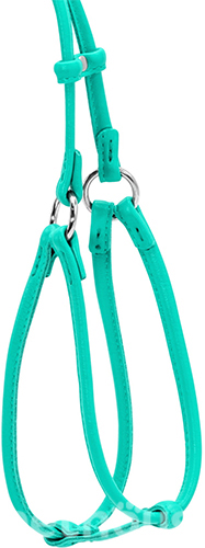 WauDog Шлея кругла з повідцем для собак малих порід, ментолова