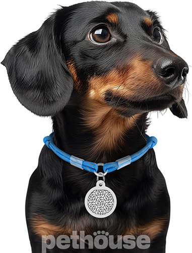 WauDog Smart ID Шнурок із паракорду для адресника, світловідбивний, синій