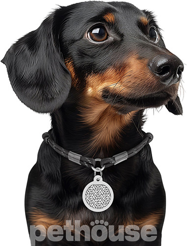 WauDog Smart ID Шнурок із паракорду для адресника, світловідбивний, чорний WauDog Smart ID Шнурок із паракорду для адресника, світловідбивний, чорний