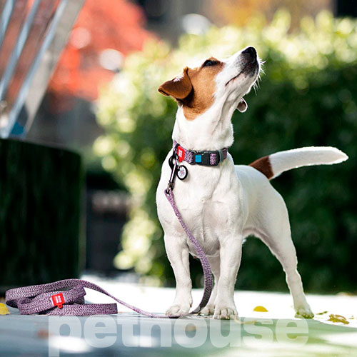 WauDog Re-cotton Нашийник із відновленої бавовни з QR-паспортом, фіолетовий