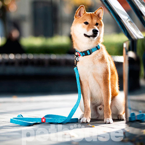 WauDog Re-cotton Повідець із відновленої бавовни для собак, блакитний