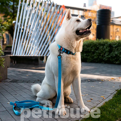 WauDog Re-cotton Повідець із відновленої бавовни для собак, блакитний