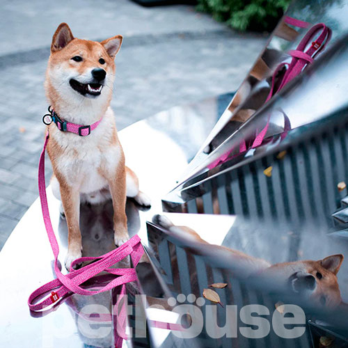 WauDog Re-cotton Повідець із відновленої бавовни для собак, рожевий WauDog Re-cotton Повідець із відновленої бавовни для собак, рожевий