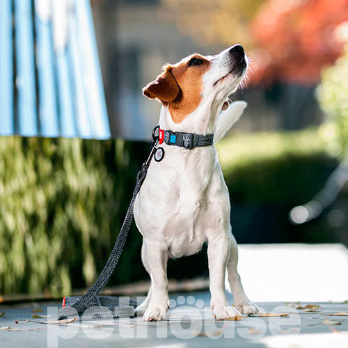 WauDog Re-cotton Повідець із відновленої бавовни для собак, сірий