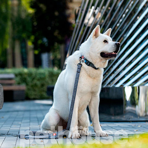 WauDog Re-cotton Повідець із відновленої бавовни для собак, сірий