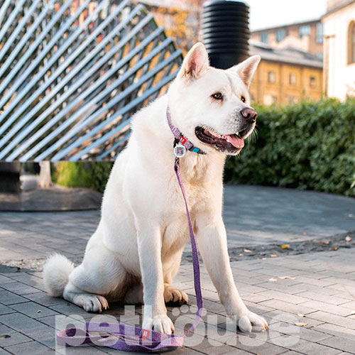 WauDog Re-cotton Повідець із відновленої бавовни для собак, фіолетовий