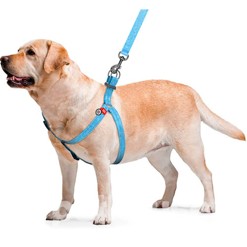 WauDog Re-cotton Шлея із відновленої бавовни з QR-паспортом, блакитна