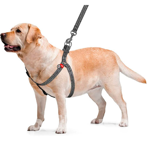 WauDog Re-cotton Шлея із відновленої бавовни з QR-паспортом, сіра