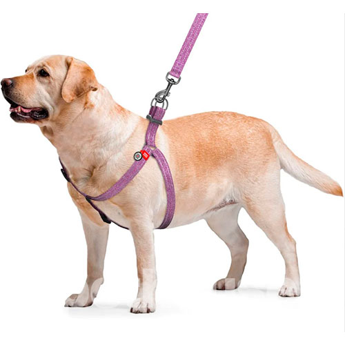 WauDog Re-cotton Шлея із відновленої бавовни з QR-паспортом, фіолетова