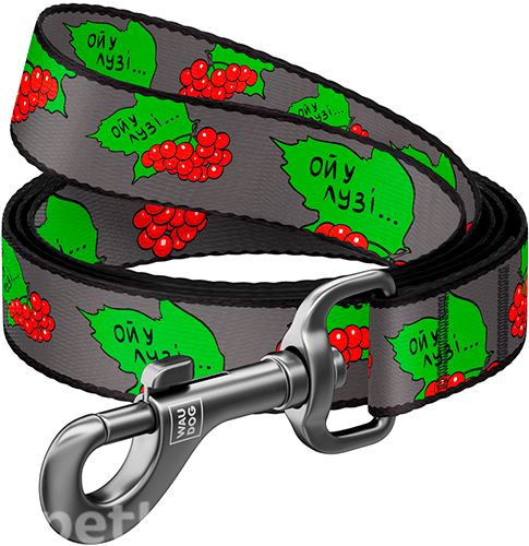 WauDog Nylon Поводок с принтом "Калина" для собак, нейлон