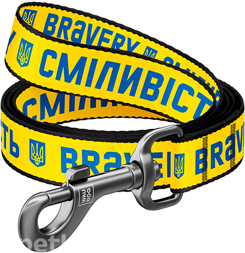 WauDog Nylon Повідець з принтом "Сміливість" для собак, нейлон