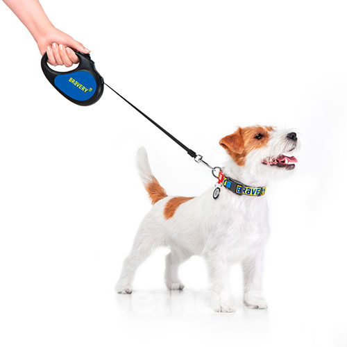 WauDog R-leash Поводок-рулетка с принтом "Смелость" для собак, лента, 3 м