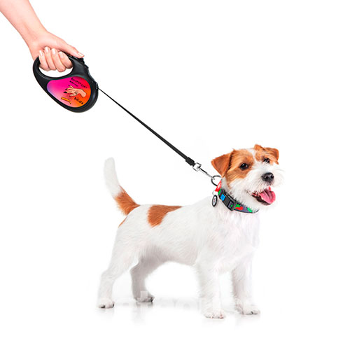 WauDog R-leash Поводок-рулетка с принтом "Конотопские магические войска", лента, 3 м