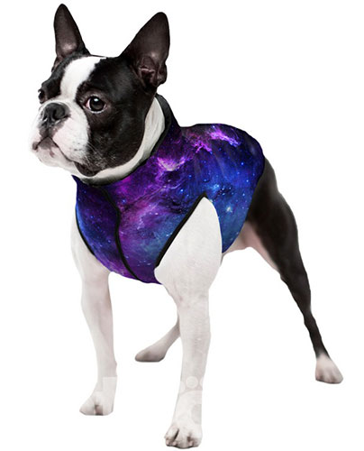 WauDog Clothes Курточка "NASA21" для собак