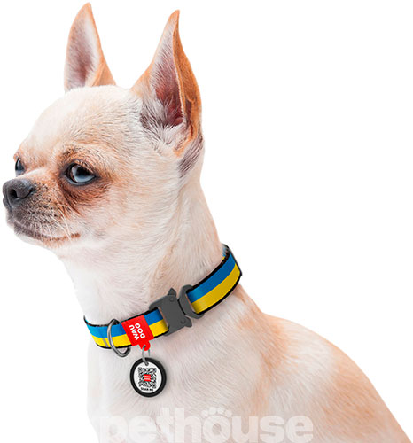 WauDog Nylon Нейлоновий нашийник "Colors of freedom" із металевою фурнітурою для собак