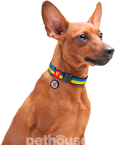 WauDog Nylon Нейлоновий нашийник "Colors of freedom" із металевою фурнітурою для собак