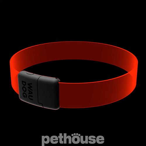 WauDog LED RGB Нашийник для собак з підсвічуванням, регульований