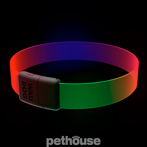 WauDog LED RGB Нашийник для собак з підсвічуванням, регульований
