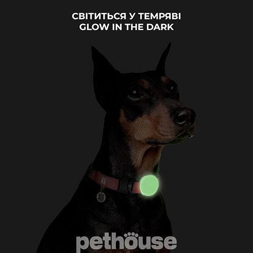 WauDog Silicone AirTag Чохол для трекера-брелка, світлонакопичувальний