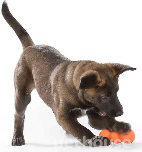West Paw Rumpus Игрушка для собак, 13 см, фото 8