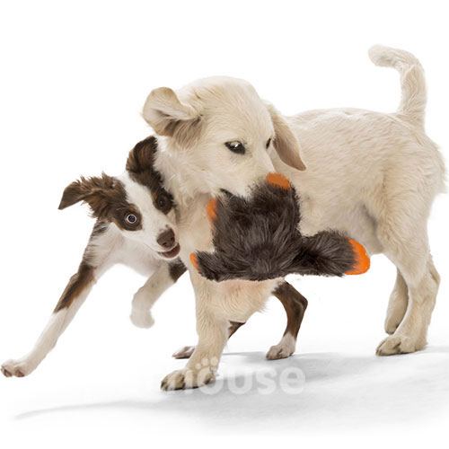West Paw Jefferson Іграшка для собак середніх та великих порід, фото 5