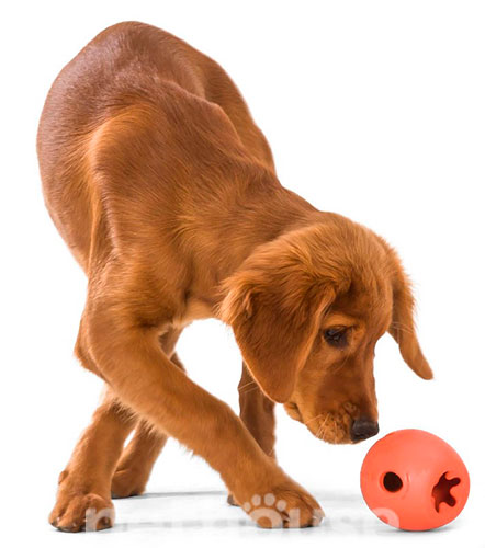 West Paw Dog Rumbl L Игрушка-кормушка для собак средних и крупных пород, фото 6
