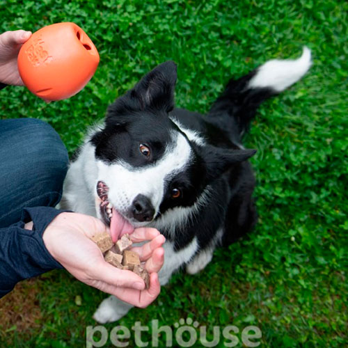 West Paw Dog Rumbl S Іграшка-годівниця для собак малих порід, фото 6