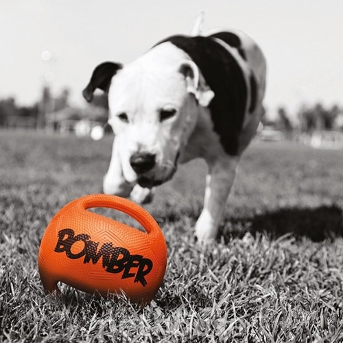 Zeus Bomber Ball - мяч с ручками для собак, фото 3