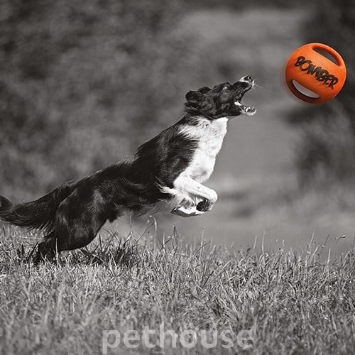 Zeus Bomber Ball - мяч с ручками для собак, фото 5