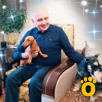 https://pethouse.ua/assets/images/testimonials/1581768925_.jpeg