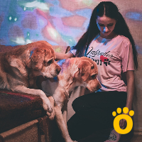 https://pethouse.ua/assets/images/testimonials/1613159254_.jpeg