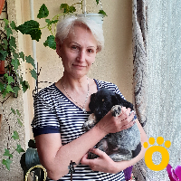 https://pethouse.ua/assets/images/testimonials/1624607176_.jpeg