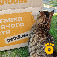 https://pethouse.ua/assets/images/testimonials/1720431567_.jpeg