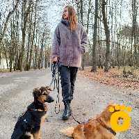 https://pethouse.ua/assets/images/testimonials/1736543042_.jpeg