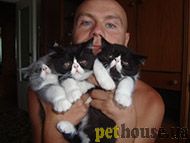 https://pethouse.ua/assets/images/testimonials/4ghdgh34gweg.jpg