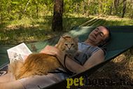 https://pethouse.ua/assets/images/testimonials/4h2klb4jk432.jpg