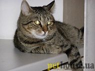 https://pethouse.ua/assets/images/testimonials/89sdf890sdf890fs.jpg
