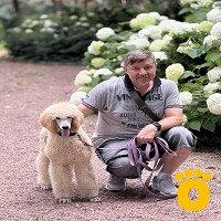 https://pethouse.ua/assets/images/testimonials/IMG_0492_1755352266.JPG