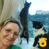 https://pethouse.ua/assets/images/testimonials/cropped-image_1744717613.jpeg