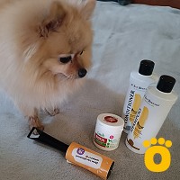 https://pethouse.ua/assets/images/testimonials/cropped-image_1746119402.jpeg