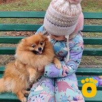 https://pethouse.ua/assets/images/testimonials/cropped-image_1746617280.jpeg
