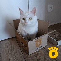 https://pethouse.ua/assets/images/testimonials/cropped-image_1747941866.jpeg